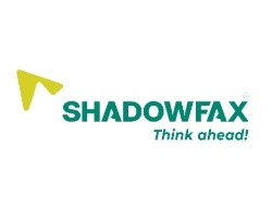 Shadowfax Technologies IPO Detail