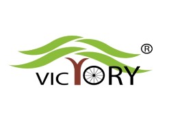 Victory Electric Vehicles International IPO Detail