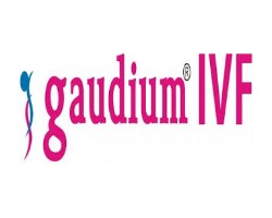 Gaudium IVF & Women Health IPO Detail