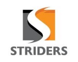 Striders Impex IPO Detail